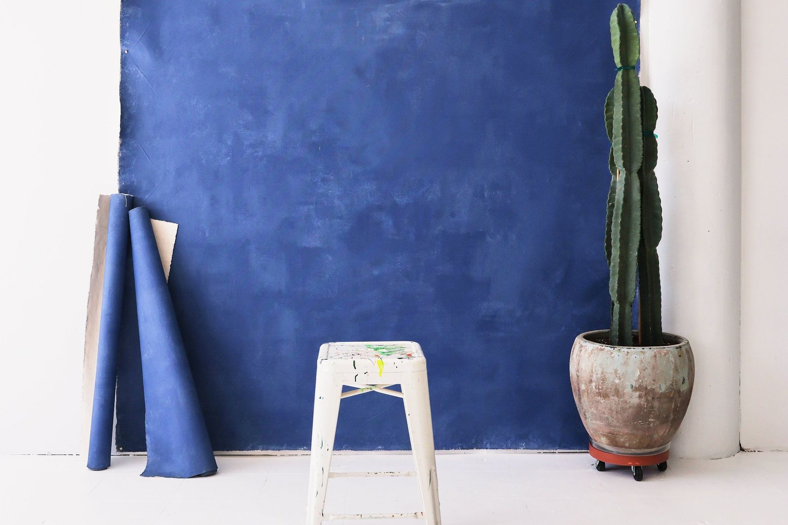 Photo studio corner with a mottled blue backdrop, two rolled backdrops, a paint-flecked white stool and a potted cactus